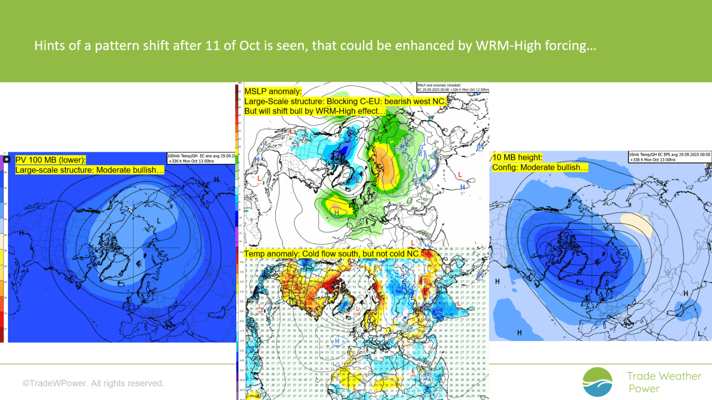Trade Weather Power AS